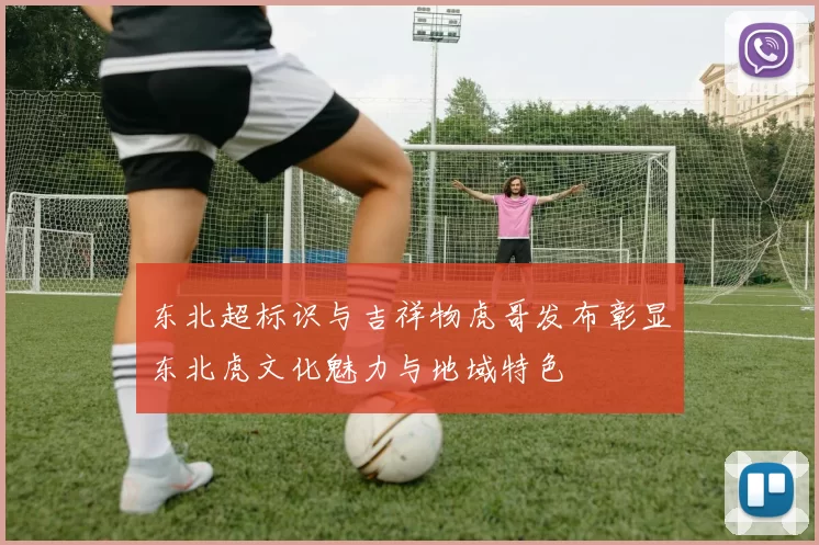 东北超标识与吉祥物虎哥发布彰显东北虎文化魅力与地域特色